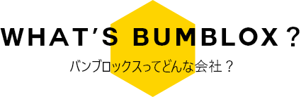 バンブロックスってどんな会社？